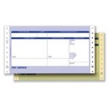 Pegasus Compatible Continuous 3pt Security Payslip. Box 1000